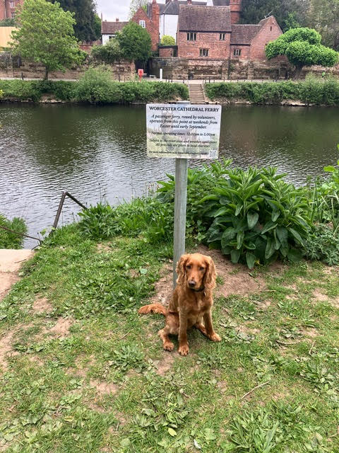Permanent Sign Chapter Meadow